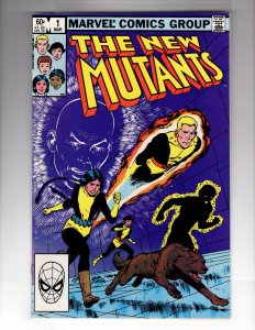 The New Mutants #1 (1983)   / HCA2