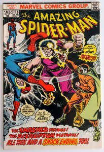 The Amazing Spider-Man #118 (FN/VF)(1973)