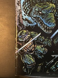 TEENAGE MUTANT NINJA TURTLES #58 (2011 IDW) VARIANT Cover