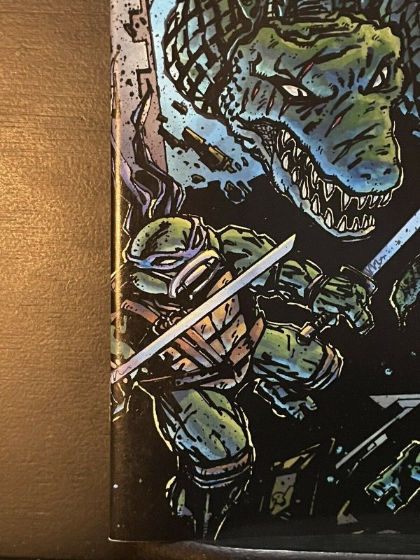 TEENAGE MUTANT NINJA TURTLES #58 (2011 IDW) VARIANT Cover