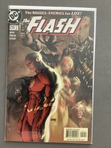 The Flash #210 (2004)