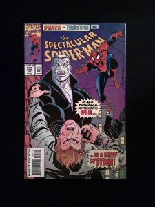 Spectacular Spider-Man #205  Marvel Comics 1993 VF/NM