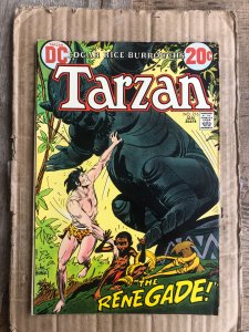 Edgar Rice Burroughs' Tarzan #216 (1973)