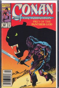 Conan the Barbarian #262 (1992) Conan