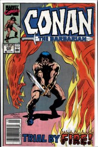 Conan the Barbarian #230 (1990) Conan