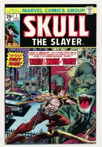 Skull the Slayer (1975) #1-8 FN+ to NM-, complete series