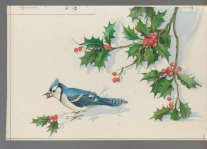 MERRY CHRISTMAS Bluebird Eating Red Holly Berries 8x5.25 Greeting Card Art #H10