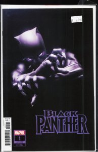 Black Panther #1 Rahzzah Cover (2023)