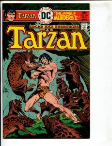 Tarzan #246  1976 - DC  -NM- - Comic Book