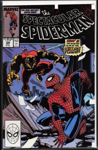 The Spectacular Spider-Man #154 (1989) Spider-Man