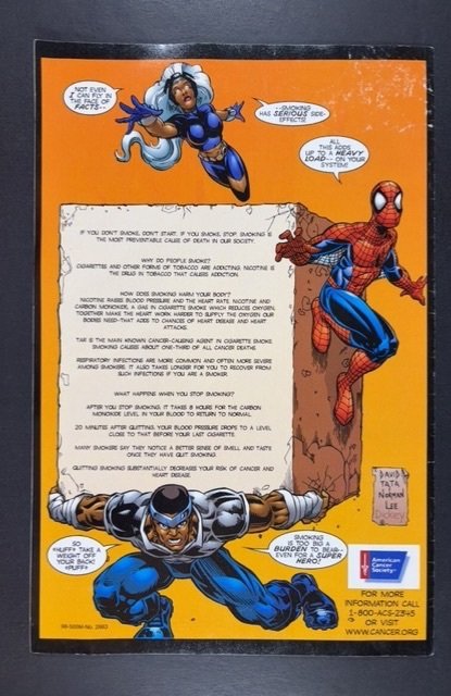 Spider-Man, Storm And Luke Cage (2002)