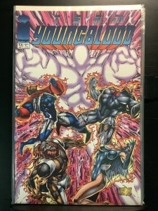 Team Youngblood #13 (1994)