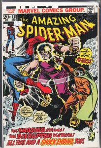 The Amazing Spider-Man #118 (1973) Spider-Man