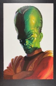 Hulk 13 Ross Cover (2023) ALEX ROSS VIRGIN VARIANT