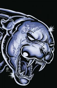 Pantha #2 Cover O 1:11 TMNT Homage Haeser Virgin Dynamite 2022 EB235