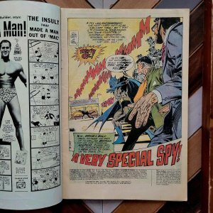 Brave & The Bold #110 VG (DC 1973) BATMAN & WILDCAT | Nick Cardy Cover Art