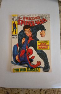 The Amazing Spider-Man #73 (1969)