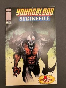 Youngblood Strikefile #1  (1993)