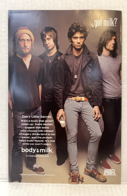 She-Hulk #32 Monkey Cover (2008)