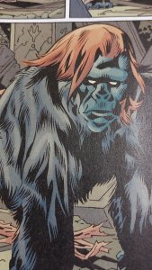 Bill Willingham FABLES 155 black forest variant cover Fine+ mature hanging