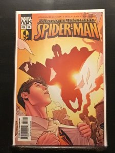 Marvel Knights Spider-Man #14 (2005)