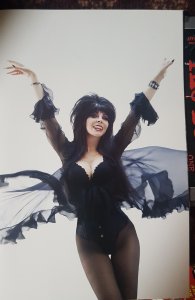 Elvira in Horrorland #1 Cover H (2022)