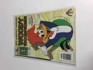 Woody Woodpecker #1 (1991) Fine     (Fn01)