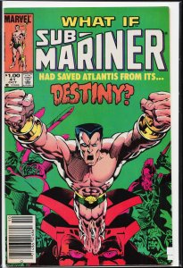 What If? #41 (1983) Namor the Sub-Mariner