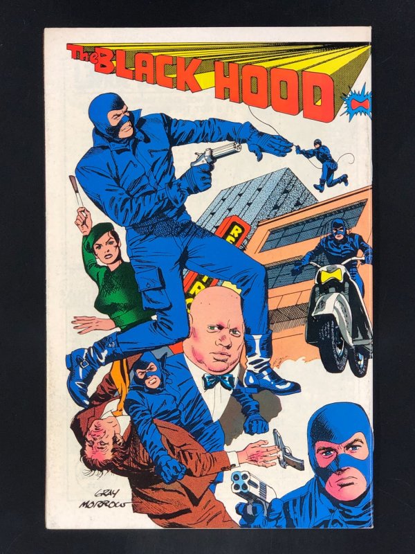 The Black Hood #1 (1983) Red Circle Comics Group