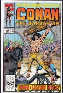 Conan the Barbarian #238 (1990) Conan