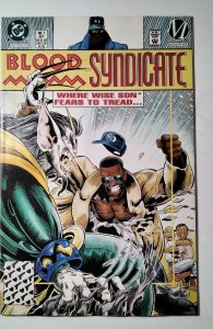 Blood Syndicate #7 (1993) DC Comic Book J751