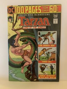 Tarzan #232