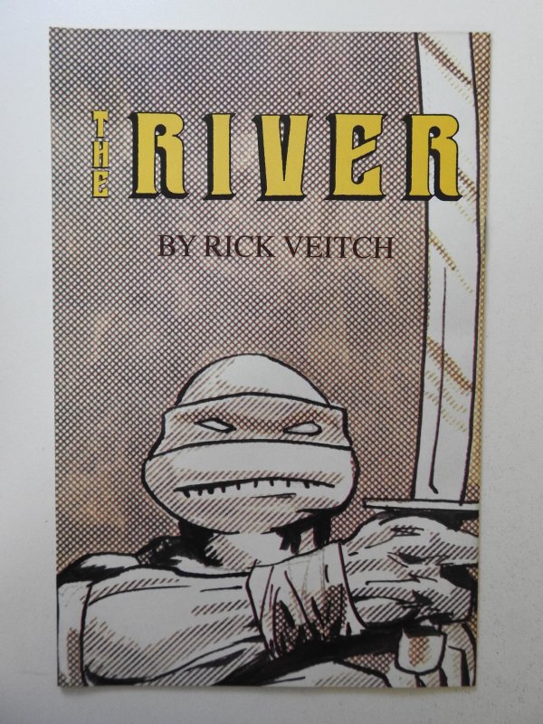 Teenage Mutant Ninja Turtles #24 (1989) VF Condition!