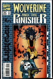 Wolverine and the Punisher: Damaging Evidence #2 (1993) Punisher