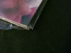 Frank Fazetta Fantasy Illustrated #1