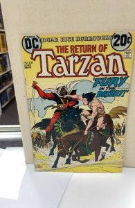 Edgar Rice Burroughs' Tarzan #220 (1973)
