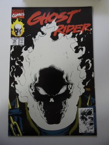 Ghost Rider #15 (1991)