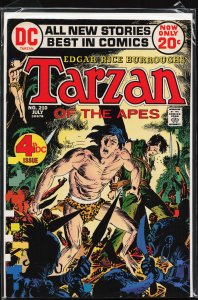 Edgar Rice Burroughs' Tarzan #210 (1972)