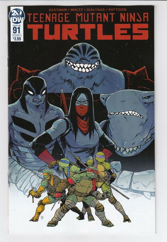 TEENAGE MUTANT NINJA TURTLES ONGOING #91 NM