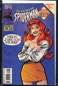 The Spectacular Spider-Man #220 (1995) Spider-Man