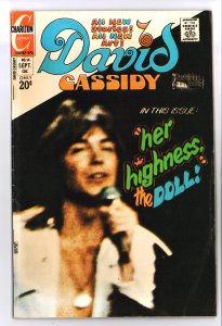 David Cassidy #14 (1973)