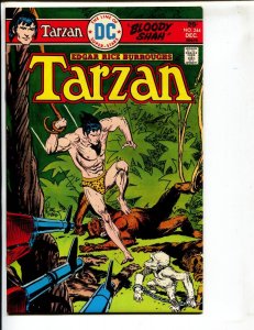 Tarzan #244  1975 - DC  -NM- - Comic Book