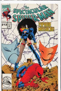 The Spectacular Spider-Man #213 (1994) Spider-Man