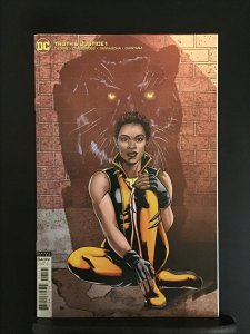Truth & Justice #1 Variant Cover (2021)