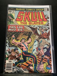 Skull the Slayer #8 (1976)