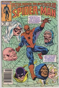 Spectacular Spider-Man #96