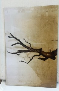 Grimm Fairy Tales #31 Seidman Cover (2008)