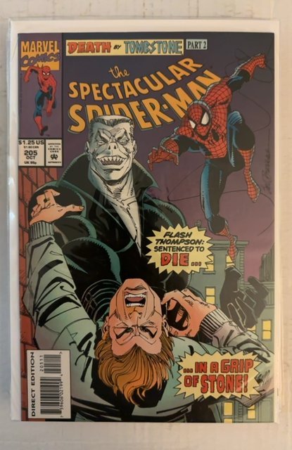 The Spectacular Spider-Man #205 (1993)