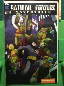Batman/Teenage Mutant Ninja Turtles Adventures #2 Subscription cover