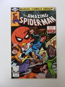 Amazing Spider-Man #206 VF/NM condition